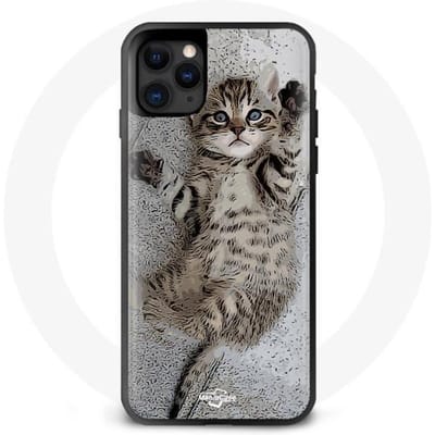 De Slaap van de Kat van Bengalen