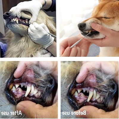 Complete Set voor Dieren Tandheelkundige Reiniging - 3 Stuks RVS Tartar en Plaque Verwijderaars voor Honden en Katten, Tandverzorging en Mondhygiëne Tools