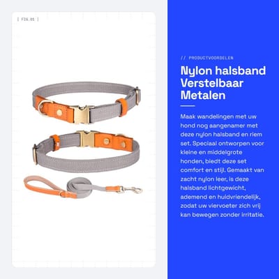 Dailygoods- Halsband Verstelbaar - Nylon/Hondenriem - Veiligheidsgesp - Lichtgewicht/Ademend - Roestvrij Stalen Sluiting - Geschikt voor Kleine/Middelgrote/Grote Honden - Hondenhalsband