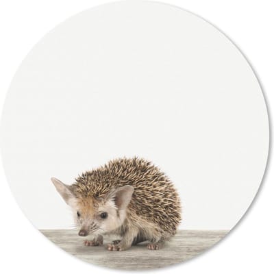 Muismat rond 20x20 cm - Mousepad Dieren - Egel - Baby - Ronde muismatten