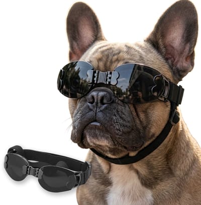 MAGICSHE Hondenbril Met Verstelbare Elastische Band - Zonnebril Hond Voor Middelgrote En Grote Honden - Uv Bescherming - Opvouwbaar Zwart