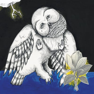 Songs: Ohia - Magnolia Electric Co. (2 LP) (Deluxe Edition)