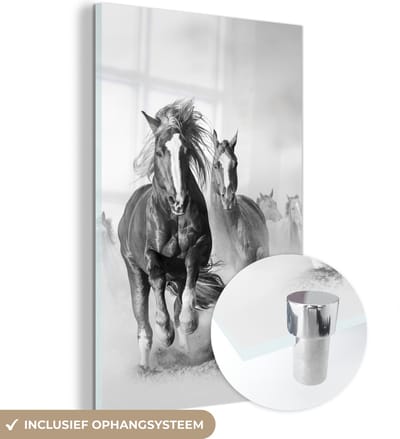 MuchoWow® Glasschilderij 120x180 cm - Schilderij acrylglas - Paarden - Dieren - Illustratie - Foto op glas - Schilderijen