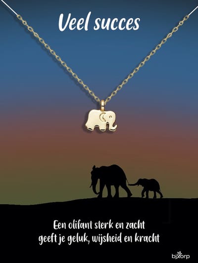 Bixorp Luck Olifant Cadeau Ketting - 18k Verguld Goud Stainless Steel - Cadeau voor succes / geluk / afscheid