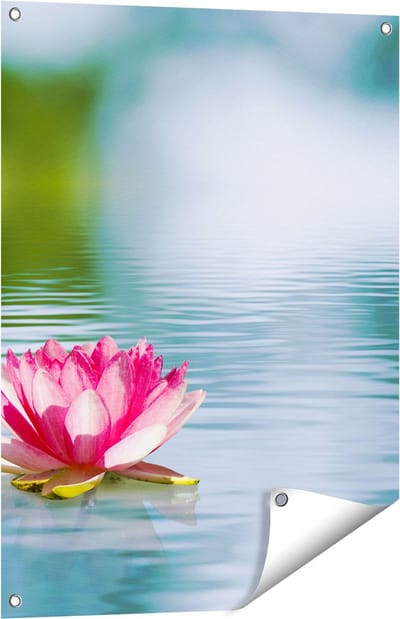 Gards Tuinposter Roze Lotusbloem op het Water - 60x80 cm - Tuindoek - Tuindecoratie - Wanddecoratie buiten - Tuinschilderij