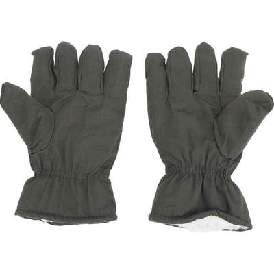 Warme Handschoenen Heren Dames 5 Vinger Outdoor Koelopslag Weerbestendig Berber Fleece Gevoerd Verdikt black