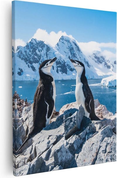 Artaza Canvas Schilderij Pinguïns Antarctica - 40x50 cm - Wanddecoratie Landschap - Muurdecoratie Sneeuw - Kamer Accessoires Natuur