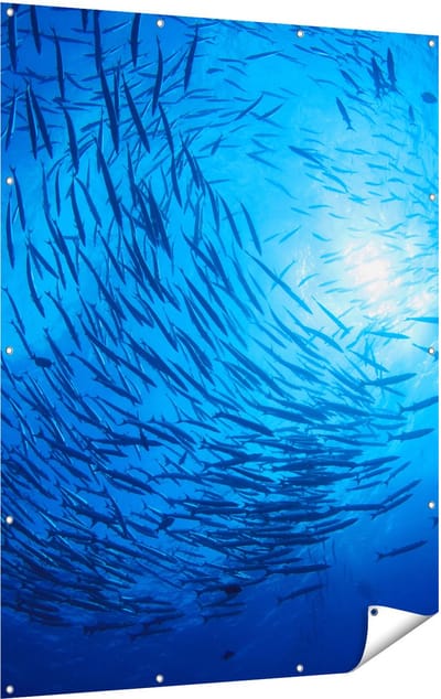 Gards Tuinposter Zwerm Vissen in de Oceaan - 120x160 cm - Tuindoek - Tuindecoratie - Wanddecoratie buiten - Tuinschilderij