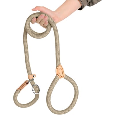 Nieuwe Hondenhalsband Slip Touw Lijn Lijn Zwaar Gevlochten Touw Verstelbare Lus Halsband Trainingslijnen Voor Kleine Middelgrote Honden (beige,1.3cmx150cm) beige