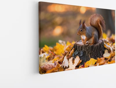 Saammp Canvas Schilderij - Eekhoorn op boomstam - Natuur - Dieren - 45x30 - Foto op canvas - Wanddecoratie - Muurdecoratie Woonkamer - Slaapkamer decoratie - Canvas Print