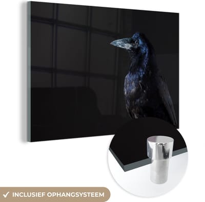 MuchoWow® Glasschilderij 150x100 cm - Schilderij acrylglas - Vogel - Dieren - Zwart - Foto op glas - Schilderijen