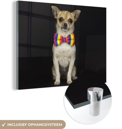 MuchoWow® Glasschilderij 160x120 cm - Schilderij acrylglas - Hond - Strik - Zwart - Foto op glas - Schilderijen