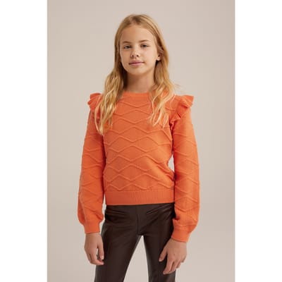 WE Fashion Knitted Pullover Coral Pink Taglia: 170/176 | Maglioni Outlet | Unisex | Arancia