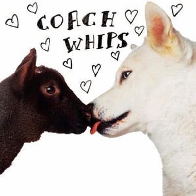 Coachwhips - Bangers Vs. Fuckers (CD) (Remastered)
