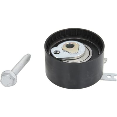 Schaeffler Ina Distributieriem spanner poelie INA 531 0547 10