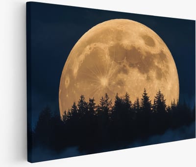 Saammp Muurcirkel Hout - Schotse Hooglander Koeien met bevroren Hoorns - Winter - Landschap - Dieren - Natuur - Ø 80 - Wandcirkel - Wanddecoratie Cirkel - muurdecoratie Woonkamer - Slaapkamer decoratie - Rond Schilderij