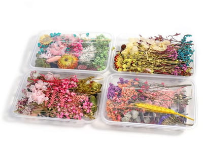 Unyqoos® Set van vier dozen met natuurlijke gedroogde bloemen voor creatieve projecten