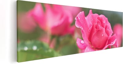 Artaza Canvas Schilderij Bloemen - 60x20 cm - Wanddecoratie Woonkamer - Muurdecoratie Roos - Kamer Accessoires