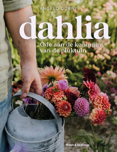 Dahlia - Angelo Dorny