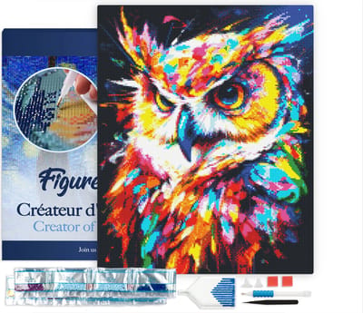 Figured'Art Diamond Painting set Volwassenen 40x50 cm met lijst Kleurrijke Abstracte Uil - 5D DIY Art full drill vierkante diamant - Canvas al ingelijst