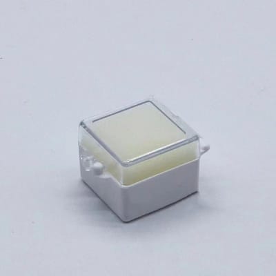 Nigf 50 Pièces Boîte de Rangement pour Prothèse Dentaire Contenant en Plastique pour Dents avec Éponge Pour Dents sur Implants Outils de Nettoyage pour Dents Matériaux de Dentisterie