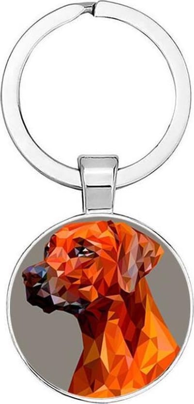 Akyol - Hond sleutelhanger - Sleutelhanger hond - Dieren - Huisdier cadeau - Honden - Dogs keychain - Hondenaccessoires - Hondenspeelgoed