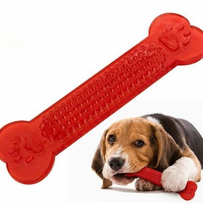 Kauwspeelgoed - Puppy kauwbot - Puppy Bone - Hondenspeelgoed - Chew toys -Rood - LOUZIR