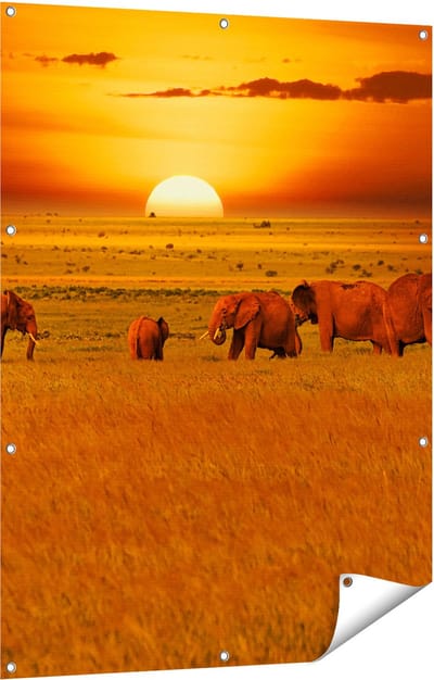 Gards Tuinposter Olifanten in het Wild - Zonsondergang - 90x120 cm - Tuindoek - Tuindecoratie - Wanddecoratie buiten - Tuinschilderij