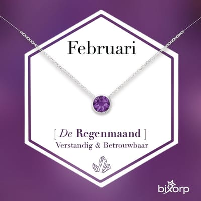 Bixorp Geboortesteen Ketting Februari - Zilverkleurig Roestvrij Staal met Zirkonia Hanger - Stainless Steel - Amethist