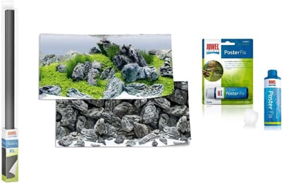 Juwel - Poster 4 - Maat S - 60x30 CM - Aquarium + Juwel Poster Fix