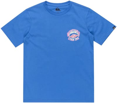 Quiksilver Ev Times Up T-shirt Met Korte Mouwen Blauw 8 Years Jongen