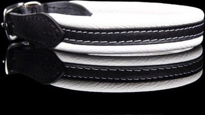 Dog's Companion Leren Halsband - Lengte: 30 cm Verstelbaar van 23-28 cm x 16 mm - soft/duo - Wit