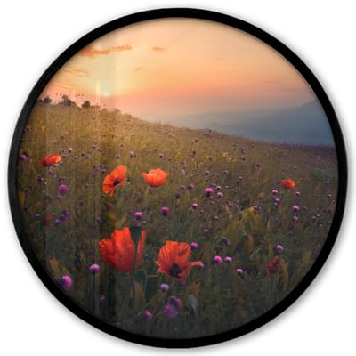Poster in lijst Rond - Fotolijst 40x40 cm - Posters - Bloemenveld - Gras - Bloemen - Planten - Zonsondergang - Oranje - Ronde posterlijst zwart - Decoratie - Wanddecoratie woonkamer - Muurdecoratie slaapkamer