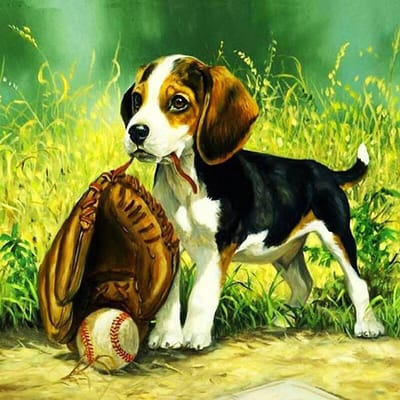 5D DIY Diamond Painting Hond pakt de bal Borduren Kruissteek Strass Mozaïek Home Decor 20X30CM