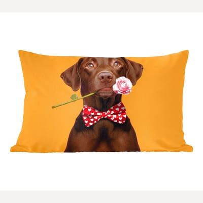 Sierkussens - Kussentjes Woonkamer - 60x40 cm - Hond - Oranje - Roos - Valentijn