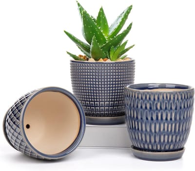 Set van 3 Ronde Keramische Plantenpotten met Afvoergaatje en Schaal voor Vetplanten en Cactussen - Ideaal voor Binnen en Buiten, Diameter 11,2 cm