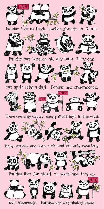 Panda Kinder Handdoek Strandlaken - Tyrrell Katz