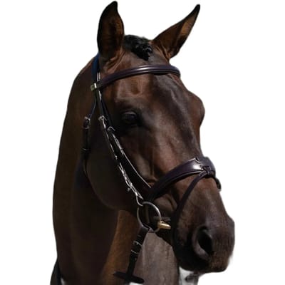 Riem voor paardrijden Premier Equine Artana
