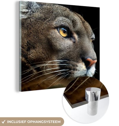 MuchoWow® Glasschilderij 50x50 cm - Schilderij acrylglas - Poema - Wilde dieren - Portret - Foto op glas - Schilderijen