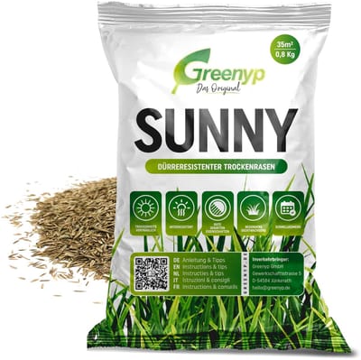 Dailygoods- Graszaad Herstel - 0,8 kg voor 35 m² - Snelkiemend - Droogtebestendig - Dicht groeiend - Geschikt voor zandgrond - Gazonzaad