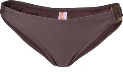 Bruin slipje, broekje van een badpak, damesonderbroek, zwembad, strand, bikini met gesp