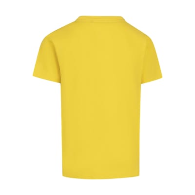 Trespass Jongens Attie Quick Dry Jersey (Geel)