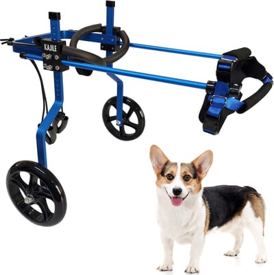 Honden Rolstoel - Hulpstuk Achterpoten - Revalidatie Honden - Verstelbaar Aluminium Frame - Maat M-2 - Blauw