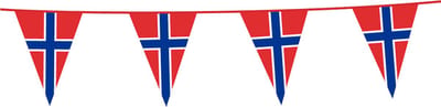 Vlaggenlijn Noorwegen 10 Meter - Voetbal EK WK Landen Feest Versiering Decoratie