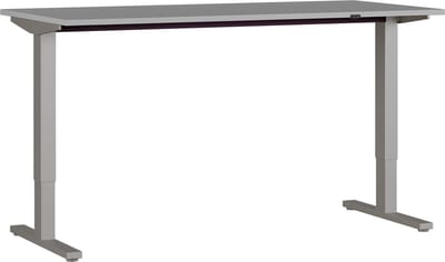 Elektrisch Bureau Ergonoma Grijs - Zilver - 160x80cm - Hoogte 73 cm - In hoogte verstelbaar