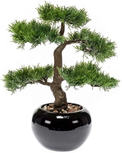 Kantoor kunstplant Bonsai boom in zwarte pot 16 cm - Kunstplanten/kantoorplanten