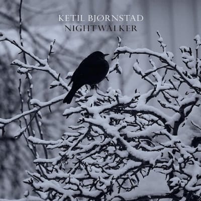 Nightwalker - Ketil Bjornstad & Falkeid Kolbei