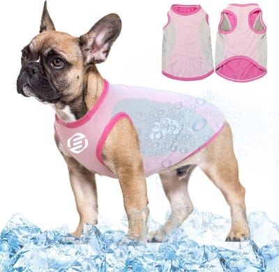 Equivera Koelvest Hond - Koel Vest Hond - Coolvest Hond - Cool Vest Hond - Verkoelend Vest - Cooling Vest Hond - Koelvest - Koeljas - Koeljas Hond - Cooljas Hond - Verkoeling Hond - Maat M