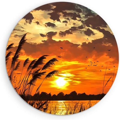 Saammp Muurcirkel Hout - Zonsondergang - Planten - Nederland - Natuur - Landschap - Ø 90 - Wandcirkel - Wanddecoratie Cirkel - Muurdecoratie Woonkamer - Slaapkamer decoratie - Rond Schilderij