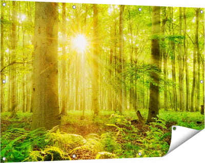 Gards Tuinposter Groen Bos met Schijnende Zonnestralen - 120x80 cm - Tuindoek - Tuindecoratie - Wanddecoratie buiten - Tuinschilderij